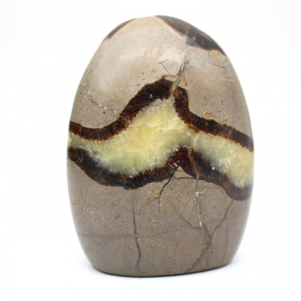 Septaria naturelle d'ornement