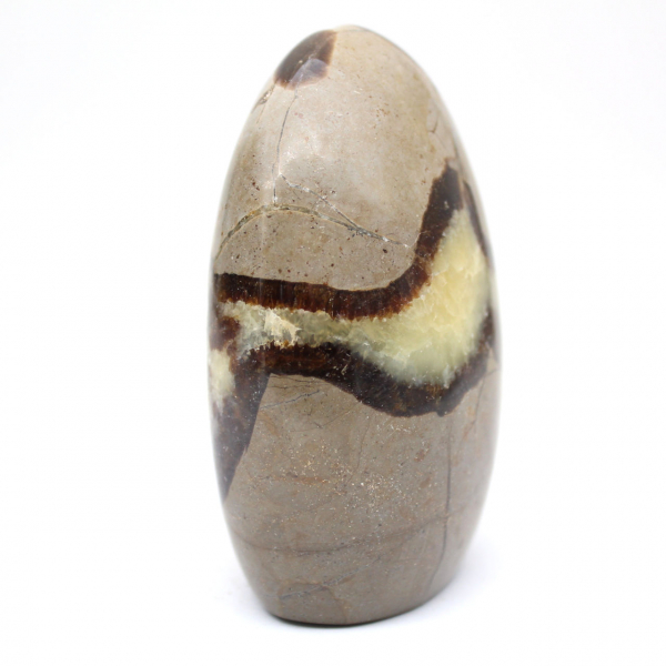 Septaria naturelle d'ornement