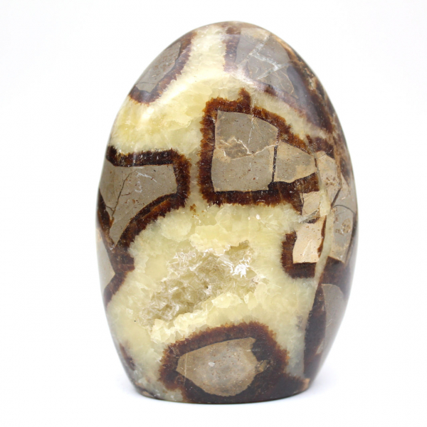 Septaria de collection de Madagascar