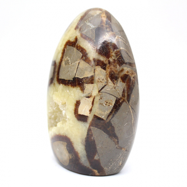 Septaria de collection de Madagascar