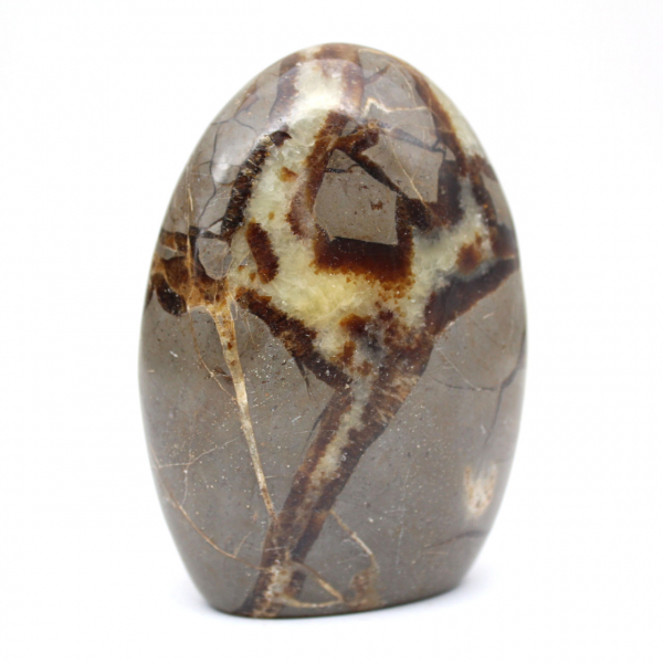 Septaria de collection de Madagascar