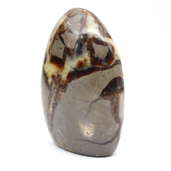 Septaria de collection de Madagascar