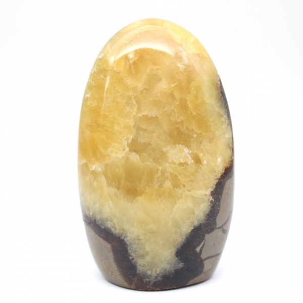 Freie Form von Septaria
