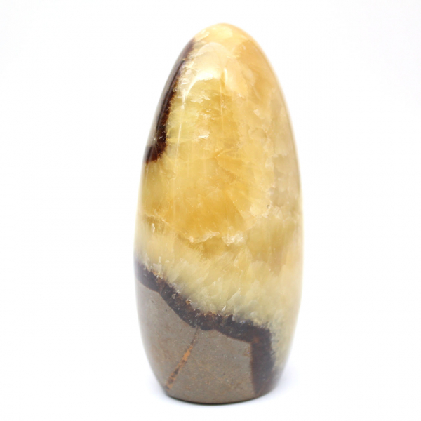 Freie Form von Septaria