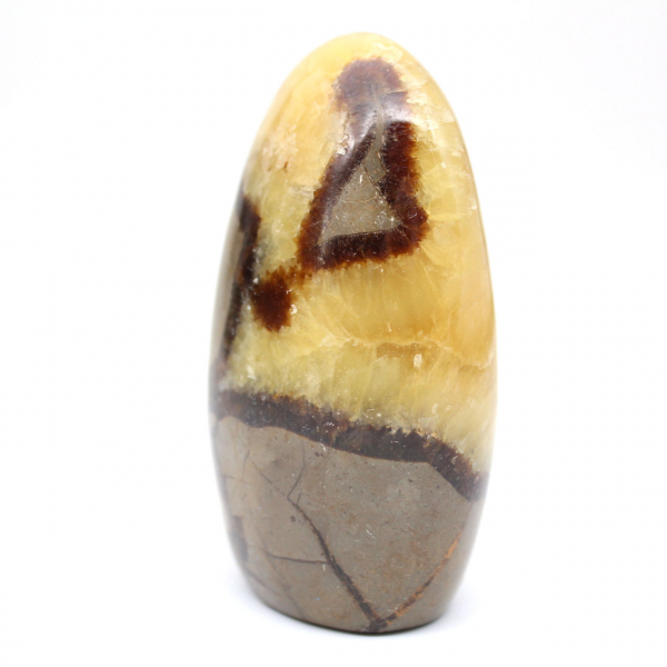 Freie Form von Septaria