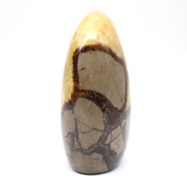 Freie Form von Septaria