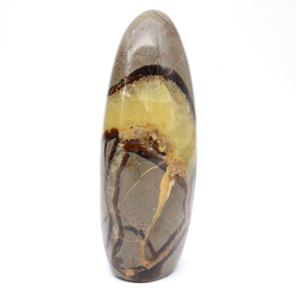 Natürliche Septaria-Sammlung