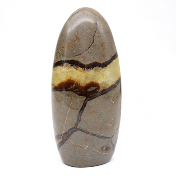 Natürliche Septaria-Sammlung