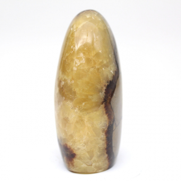 Polierter Septarienblock Polierter Septarienblock
