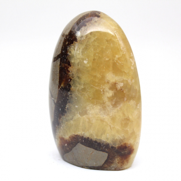 Polierter Septarienblock Polierter Septarienblock