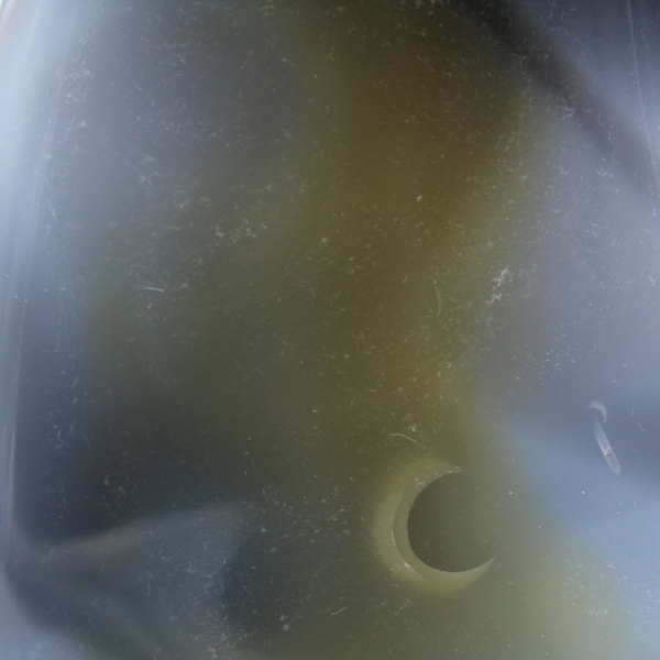 Agate