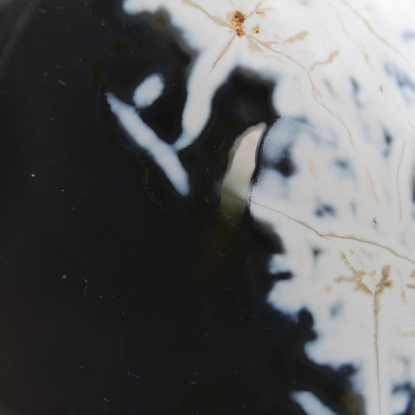 Forme libre de Agate