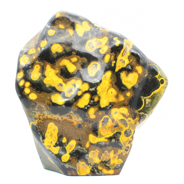 Jasper Bumblebee