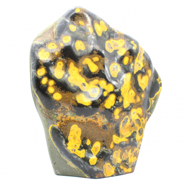 Jasper Bumblebee