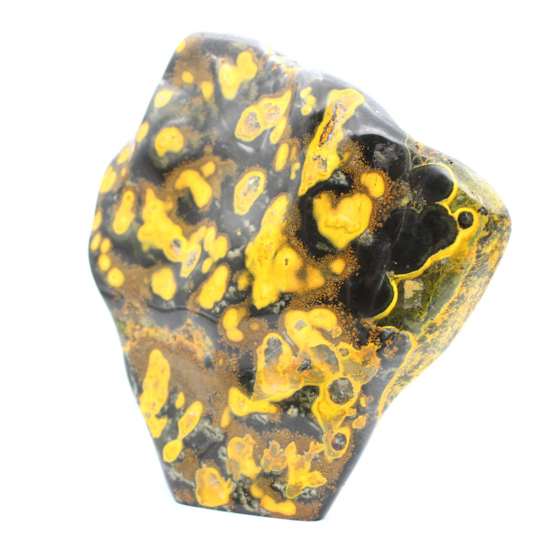 Jasper Bumblebee