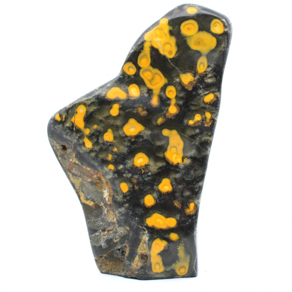 Jasper Bumblebee