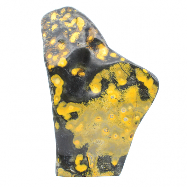 Jasper Bumblebee