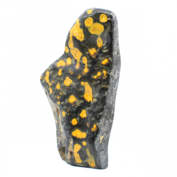 Jasper Bumblebee