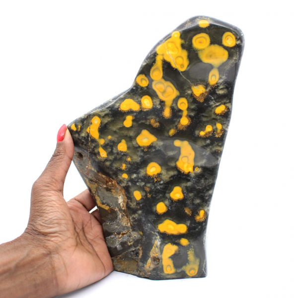 Jasper Bumblebee
