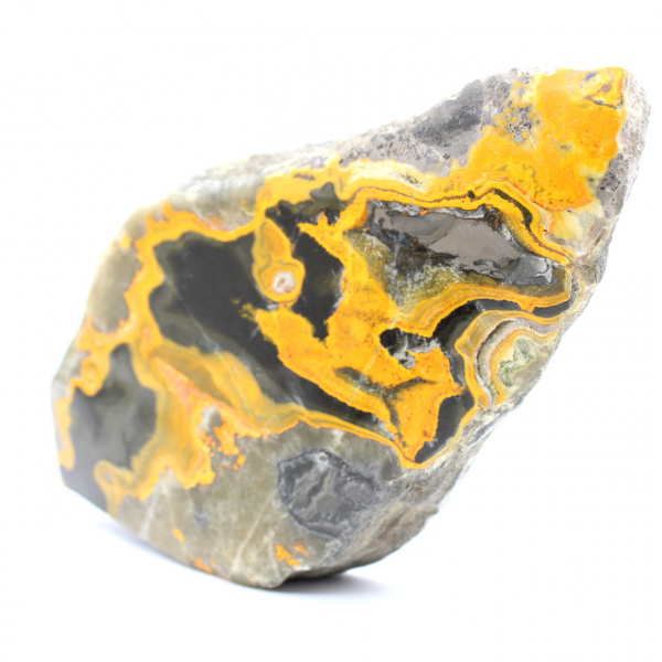 Jasper Bumblebee