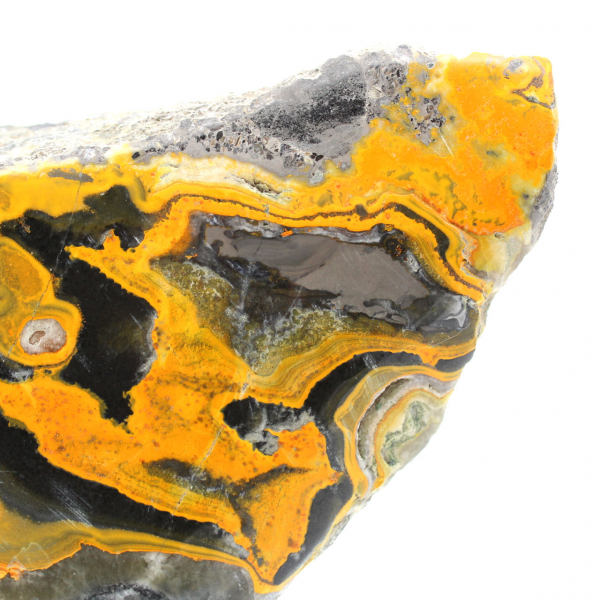Jasper Bumblebee