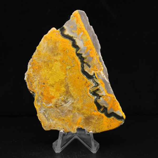 Jasper Bumblebee