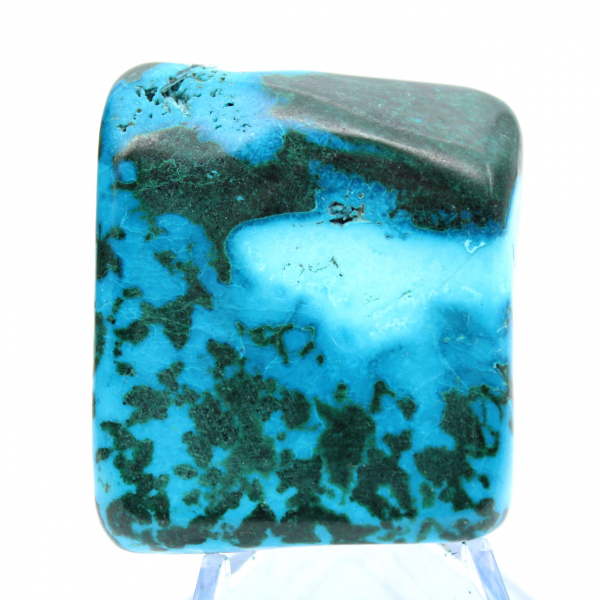 Chrysocolle Congo à poser