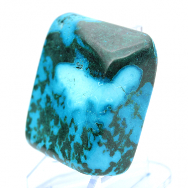 Chrysocolle Congo à poser