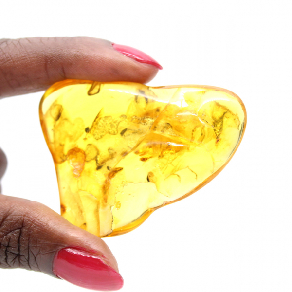 Grand Galet Ambre jaune de Lituanie – Fossile pour Collection