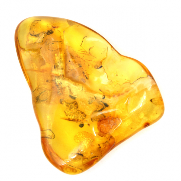 Grand Galet Ambre jaune de Lituanie – Fossile pour Collection