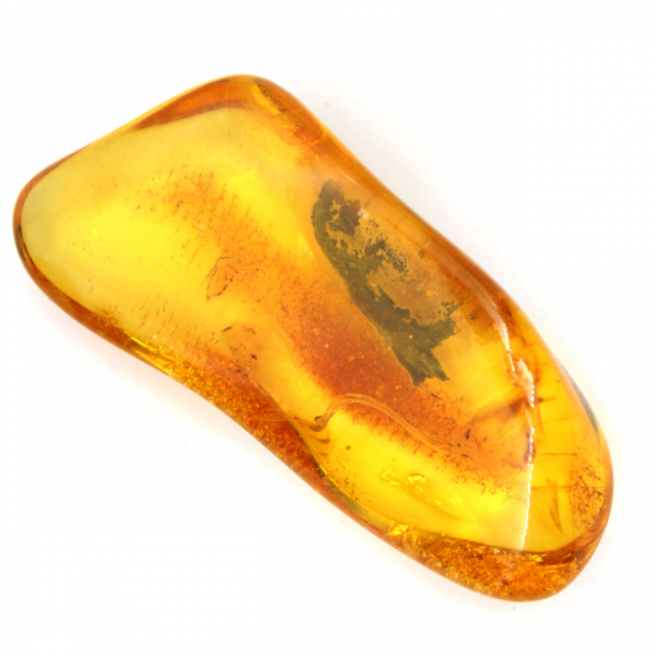 Ambre jaune fossile de la Baltique – Galet authentique