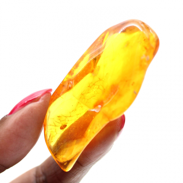 Ámbar amarillo de Lituania: guijarro natural y auténtico