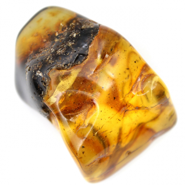 Authentique Galet d'Ambre Poli de Lituanie - Pièce de minéralogie