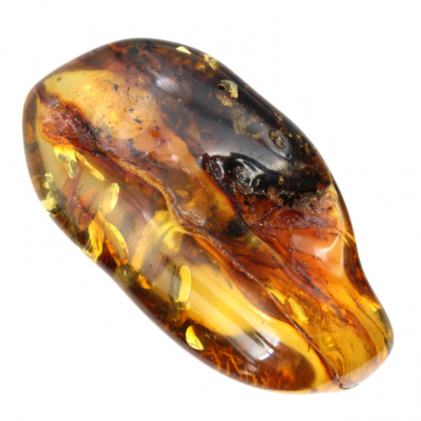 Ambre de Lituanie : Galet Naturel pour Spécimen Minéralogique