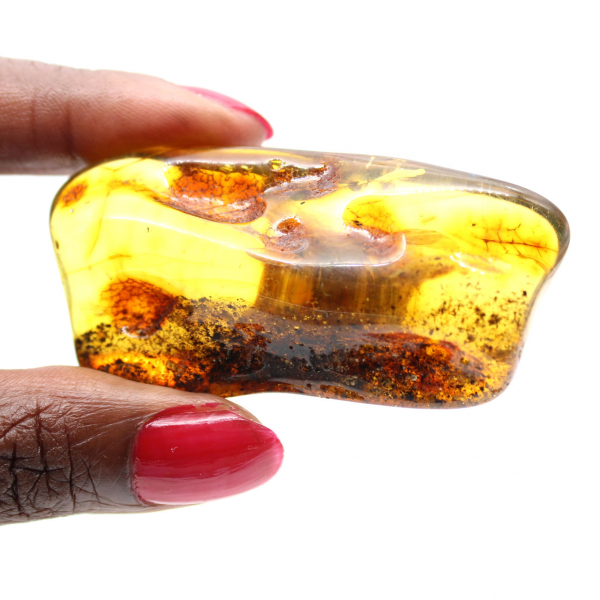 Kleiner polierter Bernsteinkiesel aus Litauen – Mineralogische Sammlung