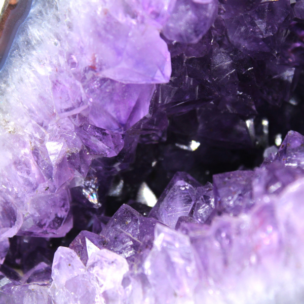 Géode d’améthyste du Brésil avec cristaux violets pour collectionneur 