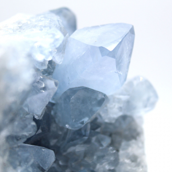 Blauwe celestien-exemplaar met glanzende kristallen