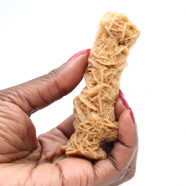 Rose des sables minéral authentique