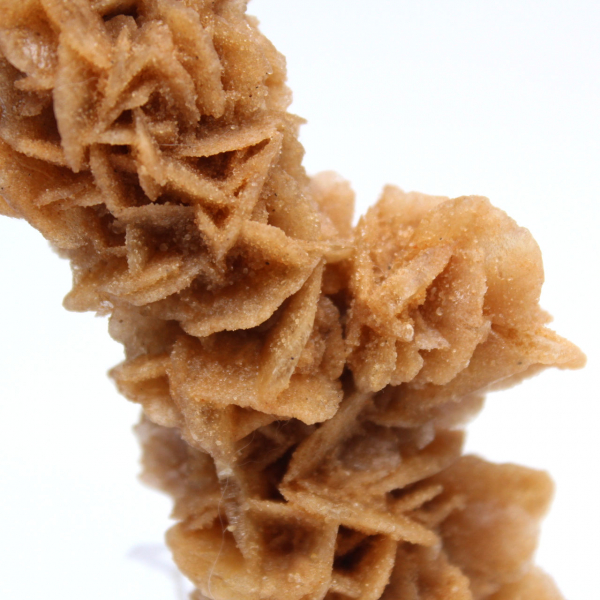 Rose des sables décorative Tunisie