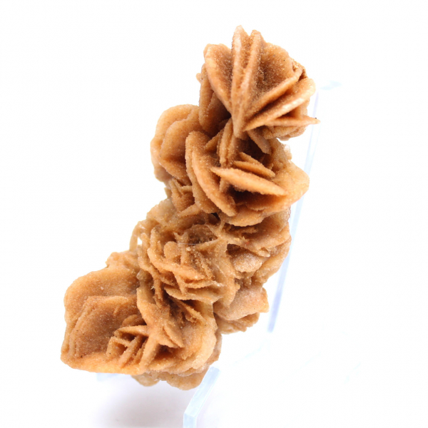 Rose des sables brute authentique Tunisie