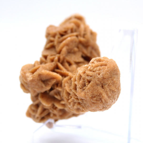 Rose des sables cristallisée origine