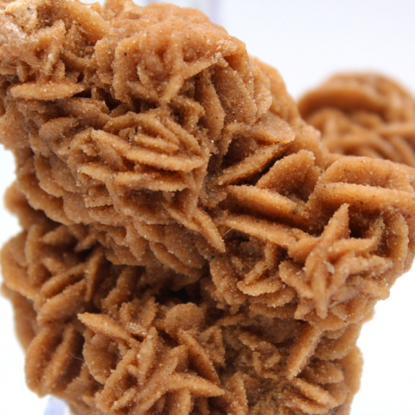 Rose des sables cristallisée origine