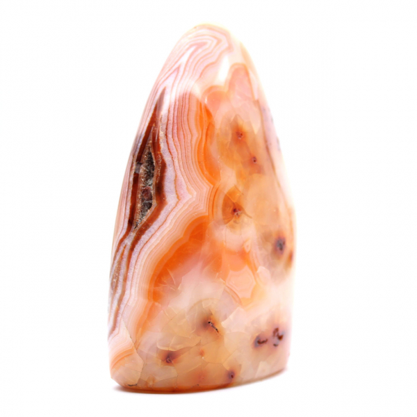 Cornaline Polie de Madagascar - Spécimen Pierre Naturelle pour Décoration et Science