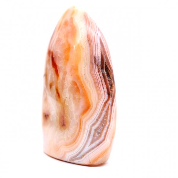 Cornaline Polie de Madagascar - Spécimen Pierre Naturelle pour Décoration et Science