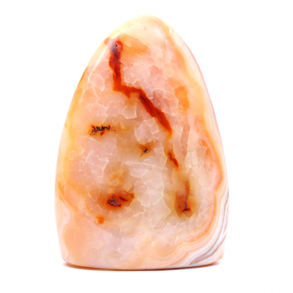 Cornaline Polie de Madagascar - Spécimen Pierre Naturelle pour Décoration et Science