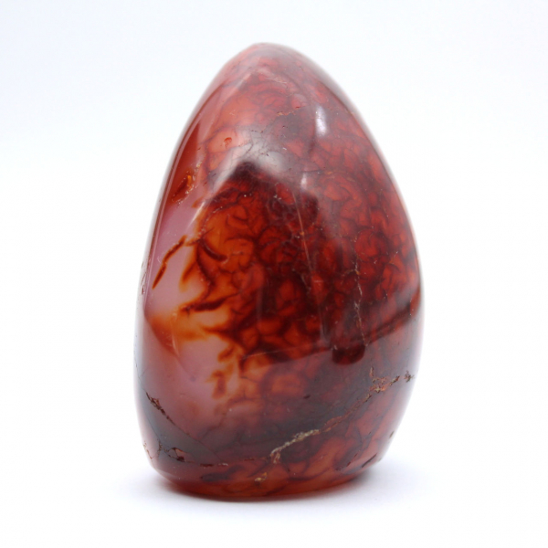 Cornaline Polie Très Petit Ornement - Minéral Authentique de Madagascar (225g)