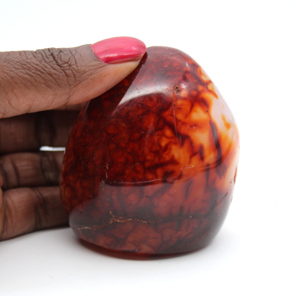 Cornaline Polie Très Petit Ornement - Minéral Authentique de Madagascar (225g)