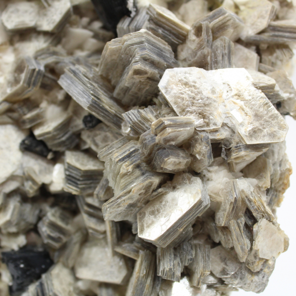 Mica et tourmaline sur quartz blanc d’Afghanistan