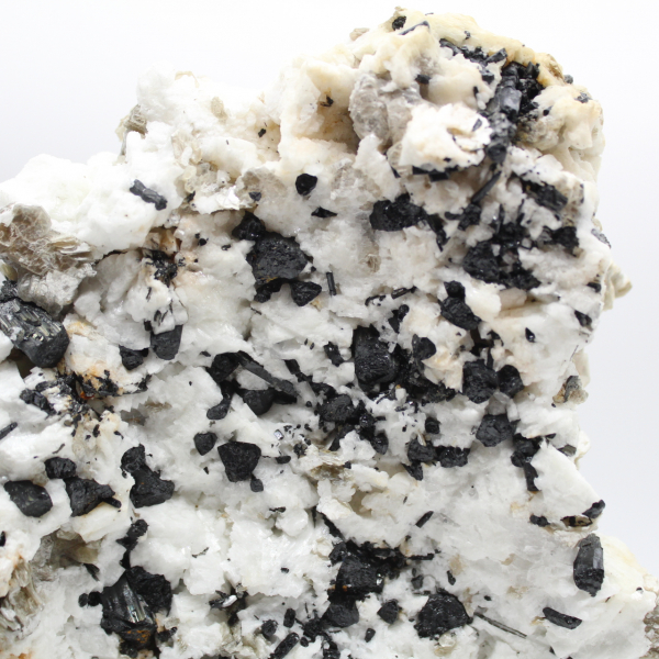 Grand mica avec tourmaline sur quartz afghan