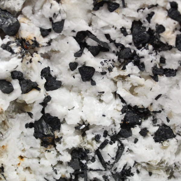 Grand mica avec tourmaline sur quartz afghan